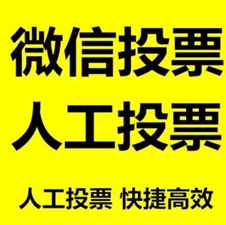 陕西省投票活动拉票能被查出来吗？如何操作能不被发现？